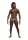 Male Power Micro V Thong S/M - L/XL