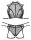 Cottelli CollectionTop Set Bondage Schwarz XL - 3XL