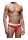 Prowler Swim Brief Red S - XL