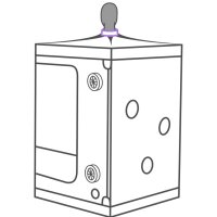 Secret Dome Kink Club Cabin Scandale Purple