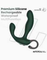 IY Greeny Prostate Massager with Vibration App-Controlled Green Ø 2.5 cm
