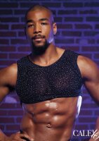 CalExotics Radiance Crop Top Schwarz One Size