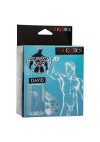 CalExotics Guys Guys Guys David 9,5 cm Transparent