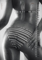 PIN-UP Calendar Sexy Backside 2026