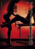 PIN-UP Calendar Girlfriends 2026