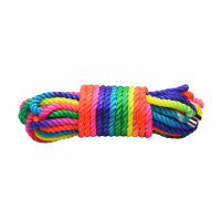 XR Brands Rainbow Rope 32ft