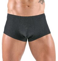 Svenjoyment Pants silver 2XL