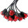 Correct Me Martinet Eight Roses 55 cm