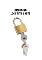 Hidden Desire Extreme Electro Penis Cage with Lock Transparent