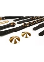 Taboom Desires Masterpiece Case Black