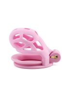 Hidden Desire Cock Cage