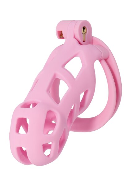 Hidden Desire Cock Cage