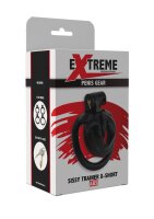 Hidden Desire Sissy Chastity Cage