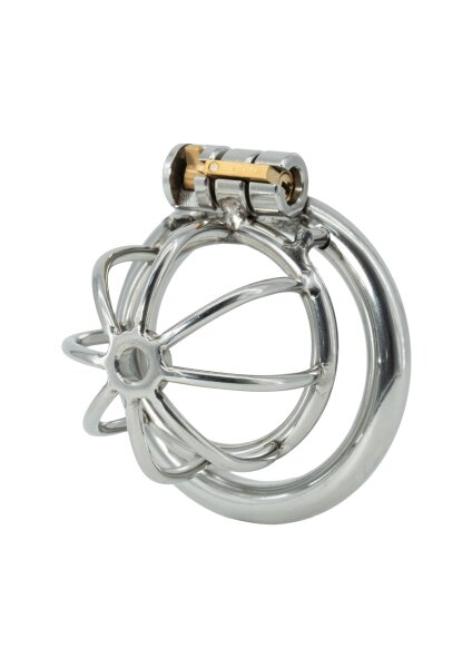 Hidden Desire Chastity Harness Keuschheitskäfig