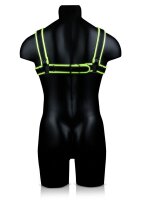 Chest Bulldog Harness Glow in the Dark S/M