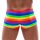 Mens Boxer Briefs Rainbow M