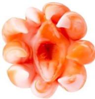 Motsutoys Sex Slave Sea Monster Pocket Pussy 0,55 Kg...