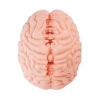 Motsutoys Brain Hacked DX Masturbator 1,2 Kg Beige