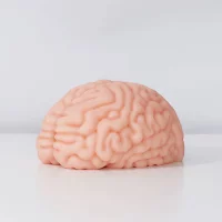 Motsutoys Brain Hacked DX Masturbator 1,2 Kg Beige
