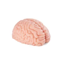 Motsutoys Brain Hacked DX Masturbator 1,2 Kg Beige