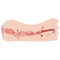 Motsutoys Nupu 3 Pussy Lips Pocket Pussy 0,49 Kg Beige