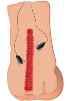 Hidden Desire Vibrating Slut Hole Masturbator Beige