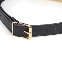 BDSMaster Gold-Plated Harmonica Gag