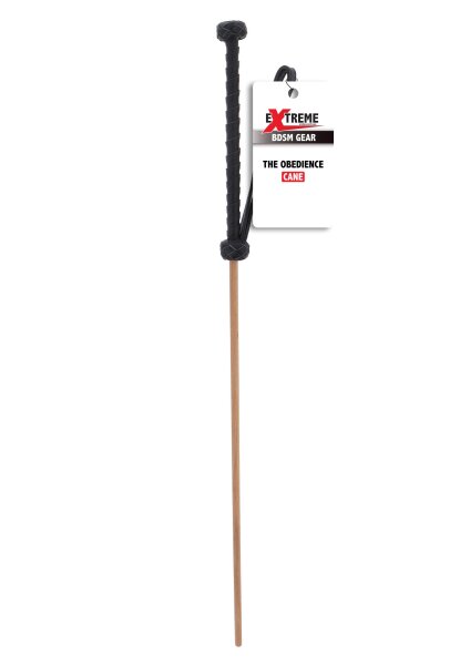 Hidden Desire The Obedience Cane Black