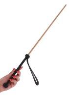 Hidden Desire The Obedience Cane Black