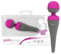 PalmPower Palm Power Massager