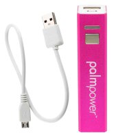 PalmPower Plug & Play