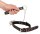 Collar and Leash
