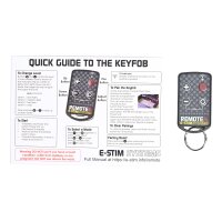 E-Stim Box Remote System