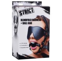 Strict Blindfold Harness and Ball Gag