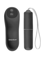 FFSLE RC Vibrating Panties