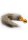 Fox Tail Buttplug - Gold