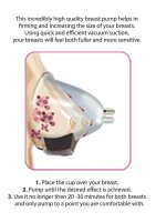 Breast Pump Set Large  Rose Gold