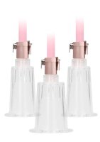 Clitoral & Nipple Pump Set Large  Rose Gold