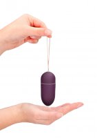 Vibrating Egg with 10 Speeds and Remote Control - Large