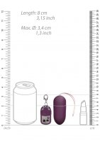 Vibrating Egg with 10 Speeds and Remote Control - Large