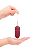 Vibrating Egg with 10 Speeds and Remote Control