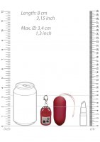 Vibrating Egg with 10 Speeds and Remote Control