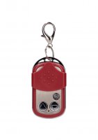 Vibrating Egg with 10 Speeds and Remote Control