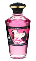 Shunga - Fruity Kisses Gift Set