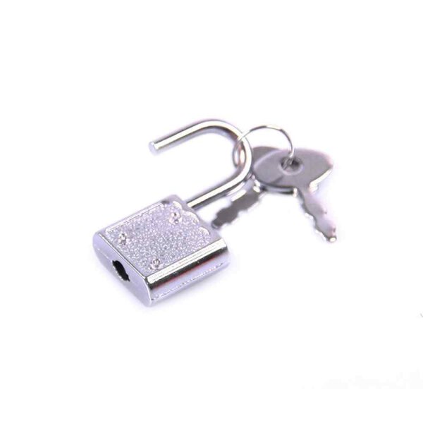 5 Padlocks with Keys