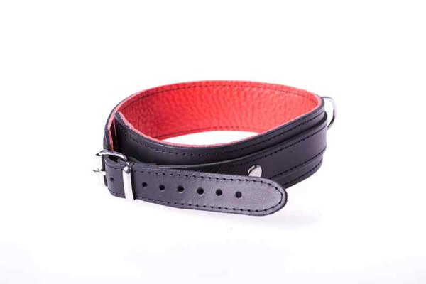 Collar Basic Red
