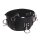 Forced Orgasm Belt