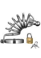Master Series - Asylum - 6 Ring Chasity Cage