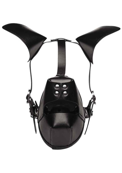 Master Series Pup Puppy Play Hood + Breathable Ball Gag