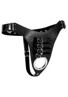 Male Chasitty Harness - Black